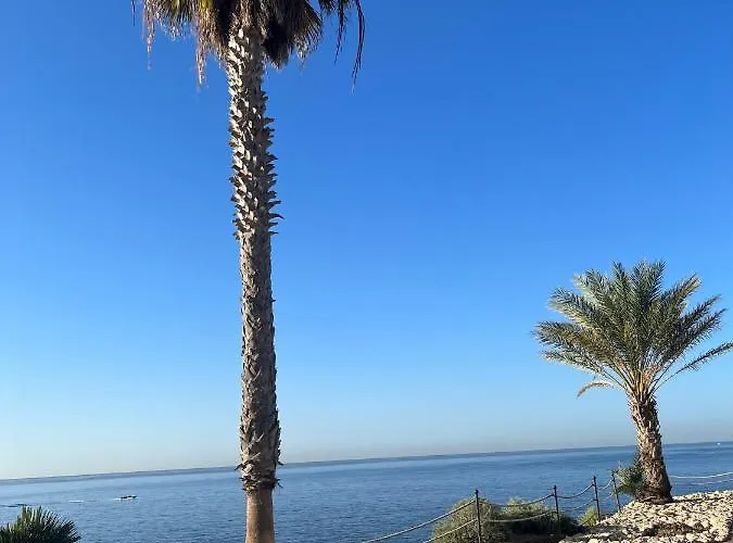 アパート Orlando Luxury